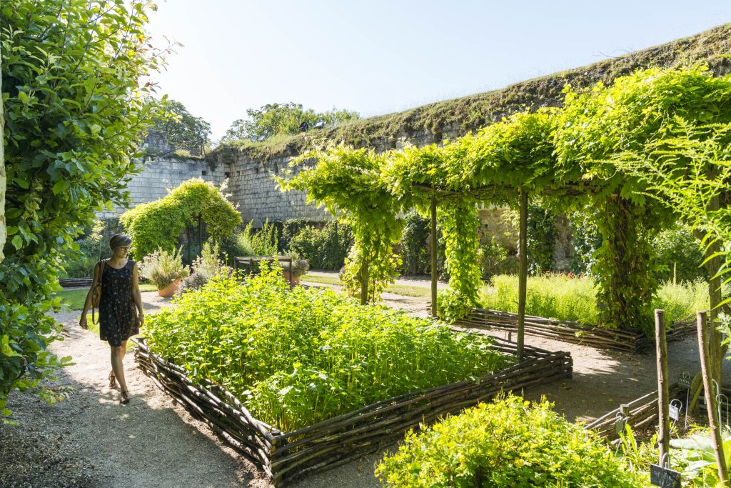 Cité royale de Loches: Billet d'entrée + Audioguide