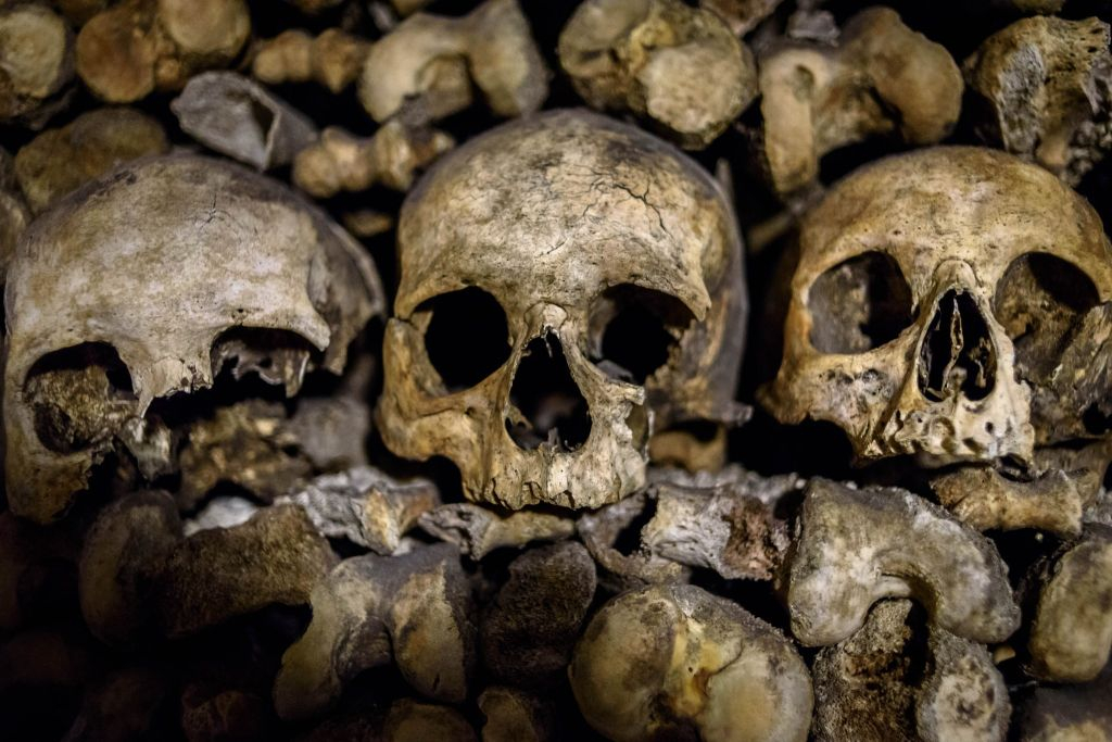Catacombs of Paris: Guided Tour in English