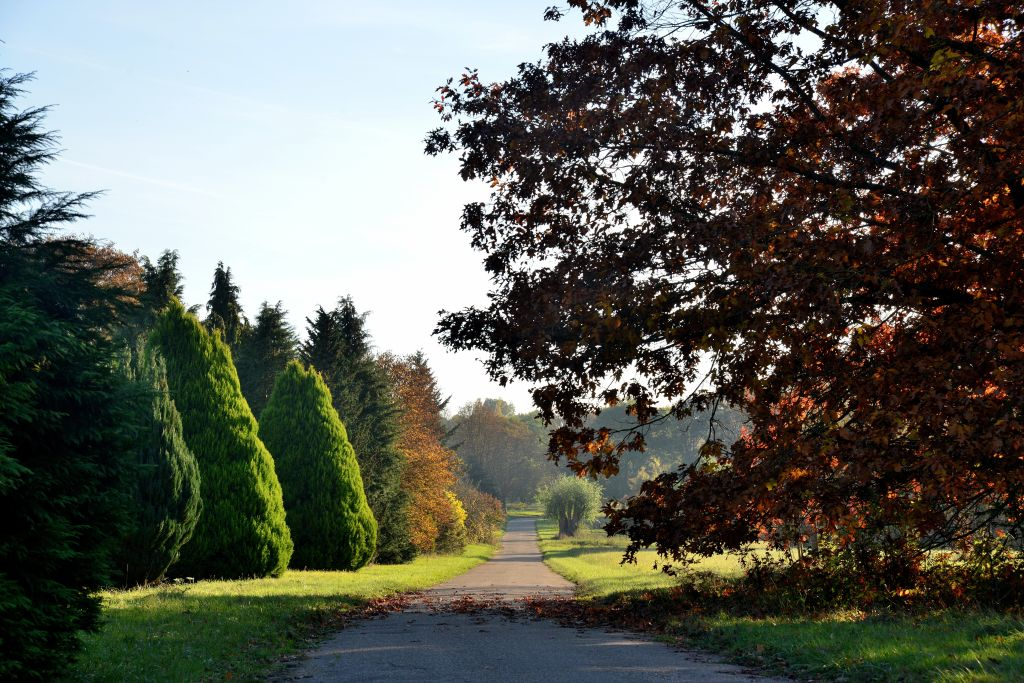 Arboretum de Versailles-Chèvreloup: Billet d'entrée