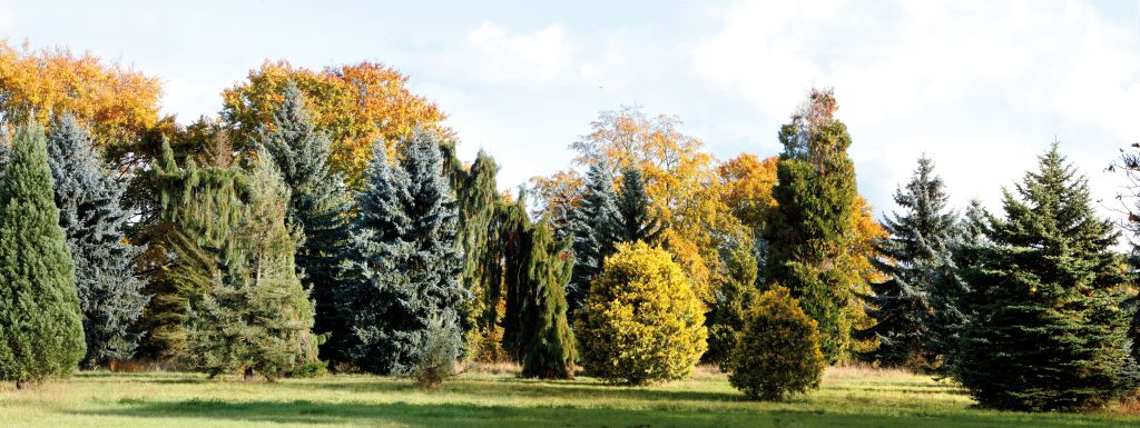 Arboretum de Chèvreloup: Entry Ticket