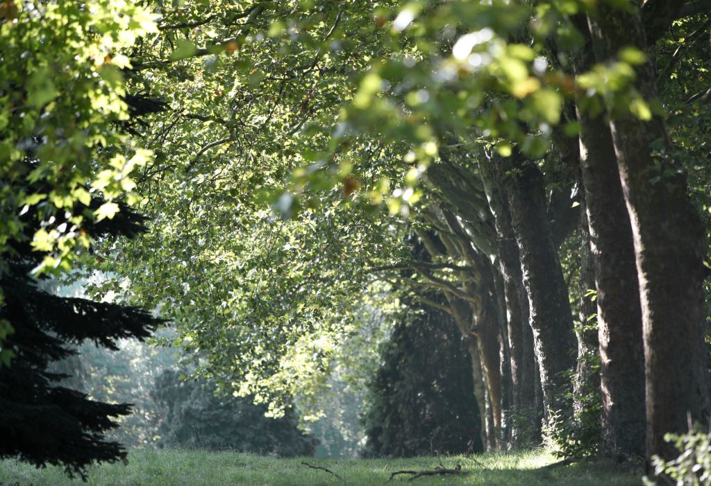 Arboretum de Chèvreloup: Entry Ticket