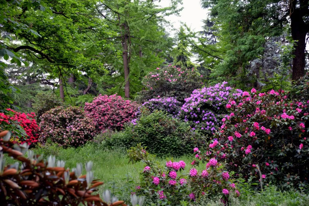 Arboretum de Chèvreloup: Entry Ticket