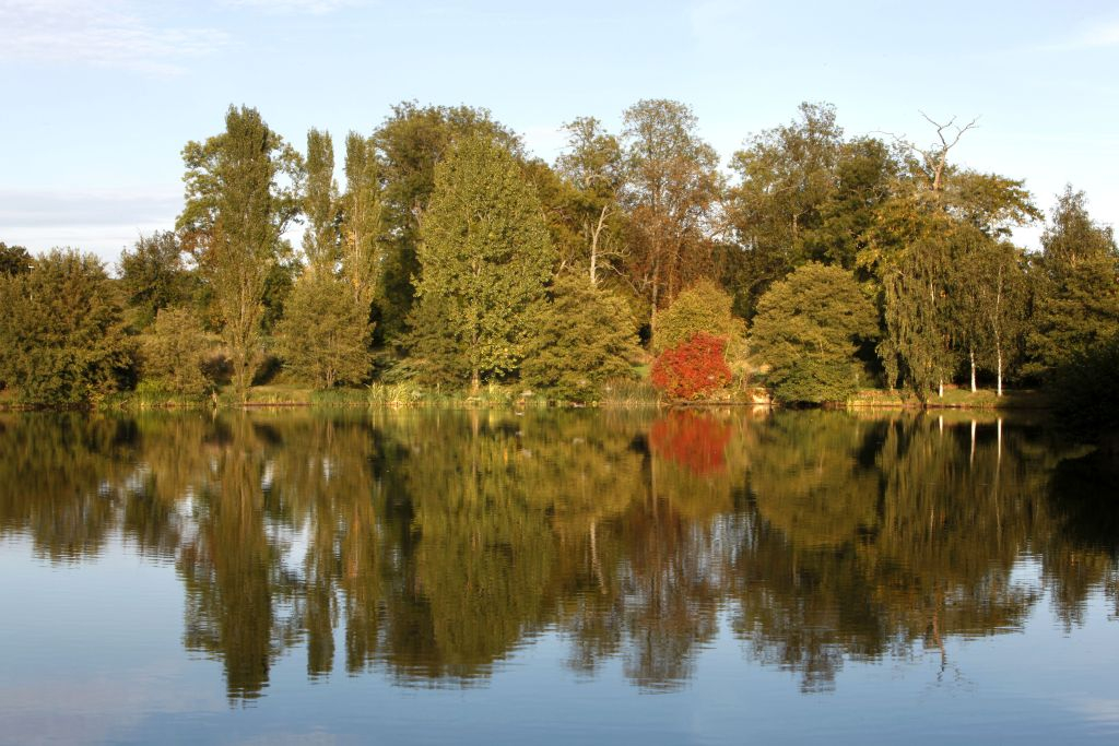 Arboretum de Chèvreloup: Entry Ticket