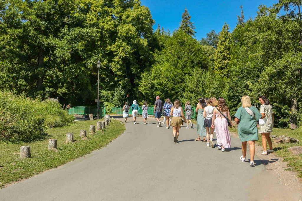 Monet's Garden in Giverny: Half-Day Guided Tour from Paris