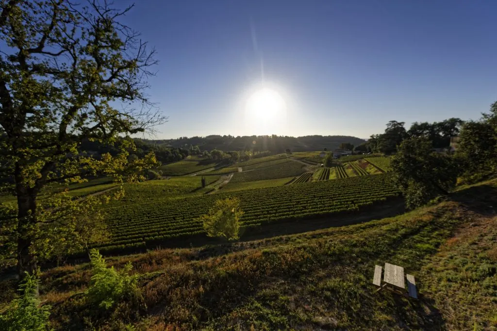 Château La Croizille: Guided Tour + Wine Tasting