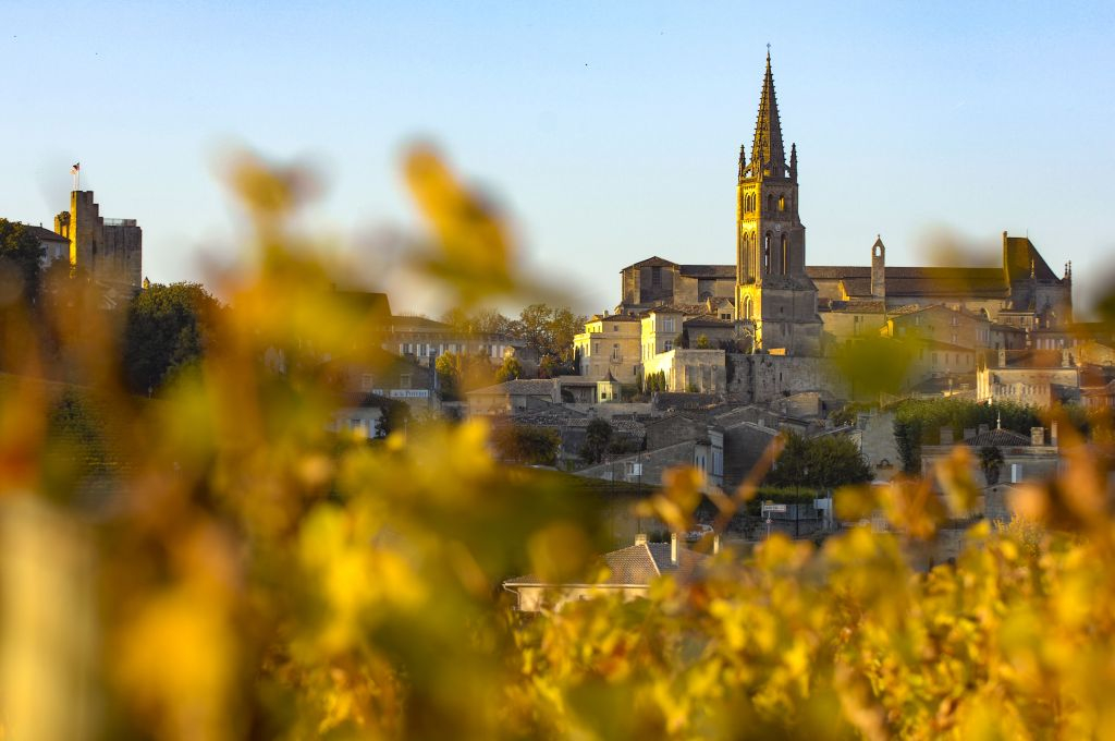 Saint-Émilion Village: Half-Day Wine Tour from Bordeaux