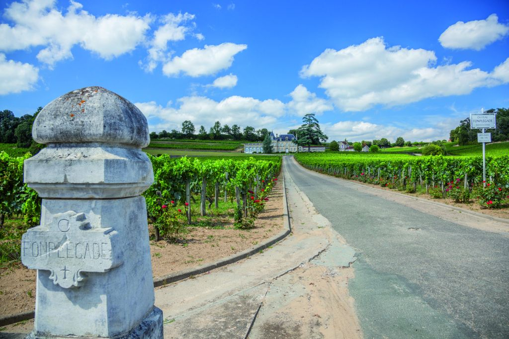 Saint-Émilion Village: Half-Day Wine Tour from Bordeaux