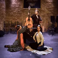 Tablao Flamenco Puro Arte - Cádiz