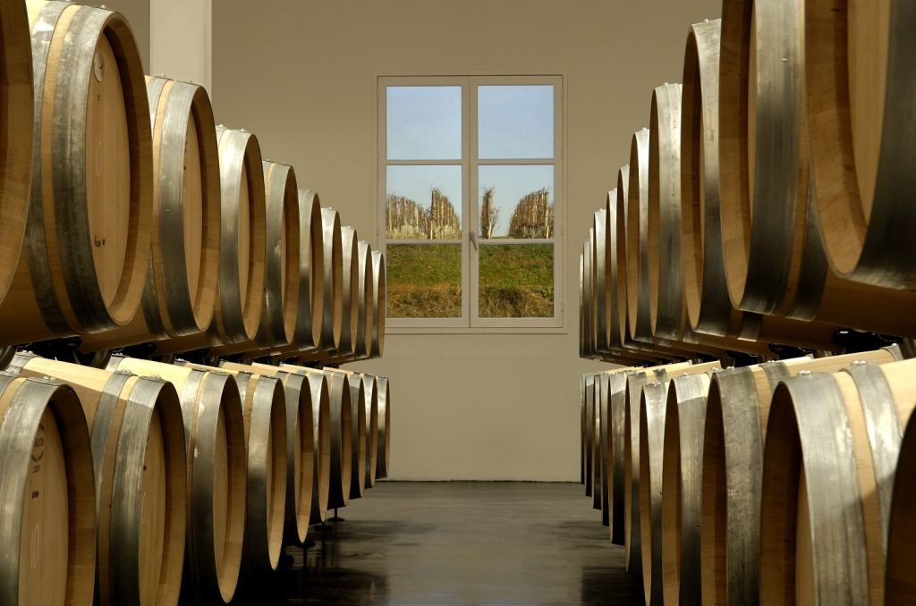 Médoc: Full-Day Wine Tour from Bordeaux