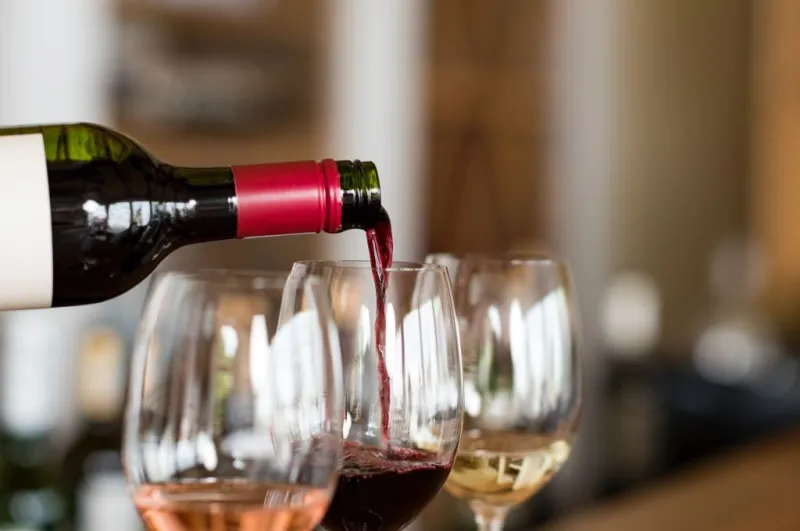 Médoc: Full-Day Wine Tour from Bordeaux