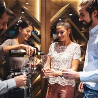 Saint-Émilion Village: Full-Day Wine Tour from Bordeaux