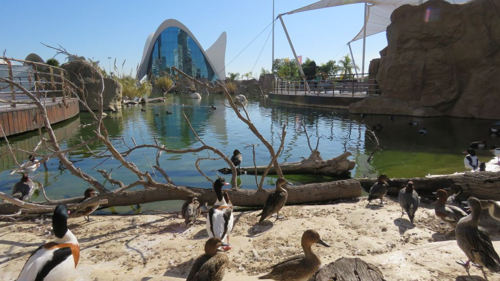City of Arts and Sciences