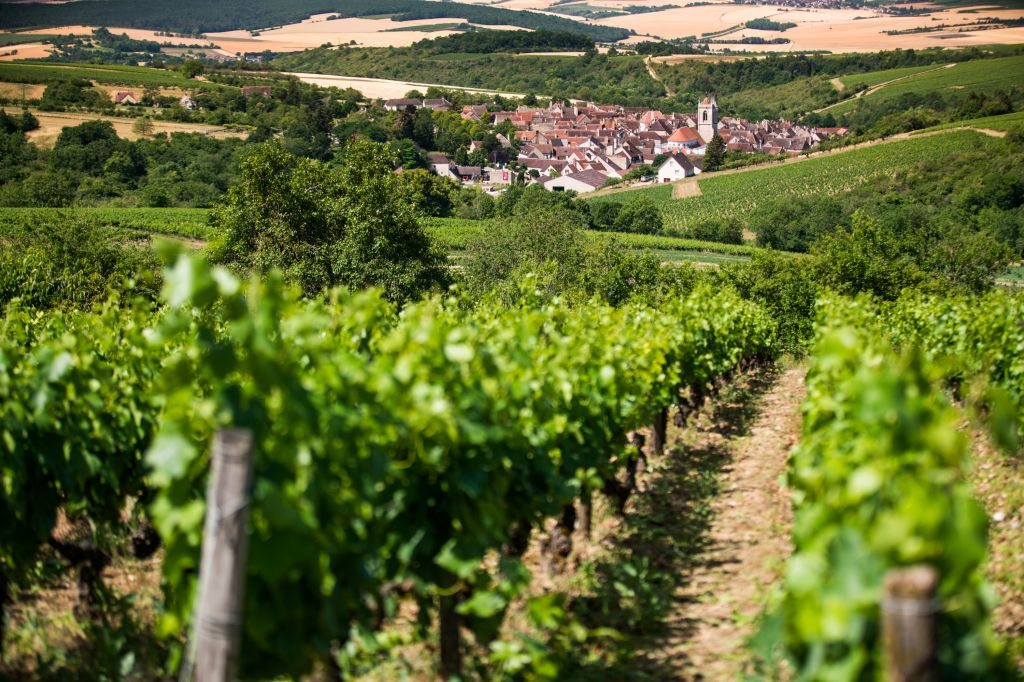 Borgogna: Gita di un giorno da Parigi all'insegna del vino