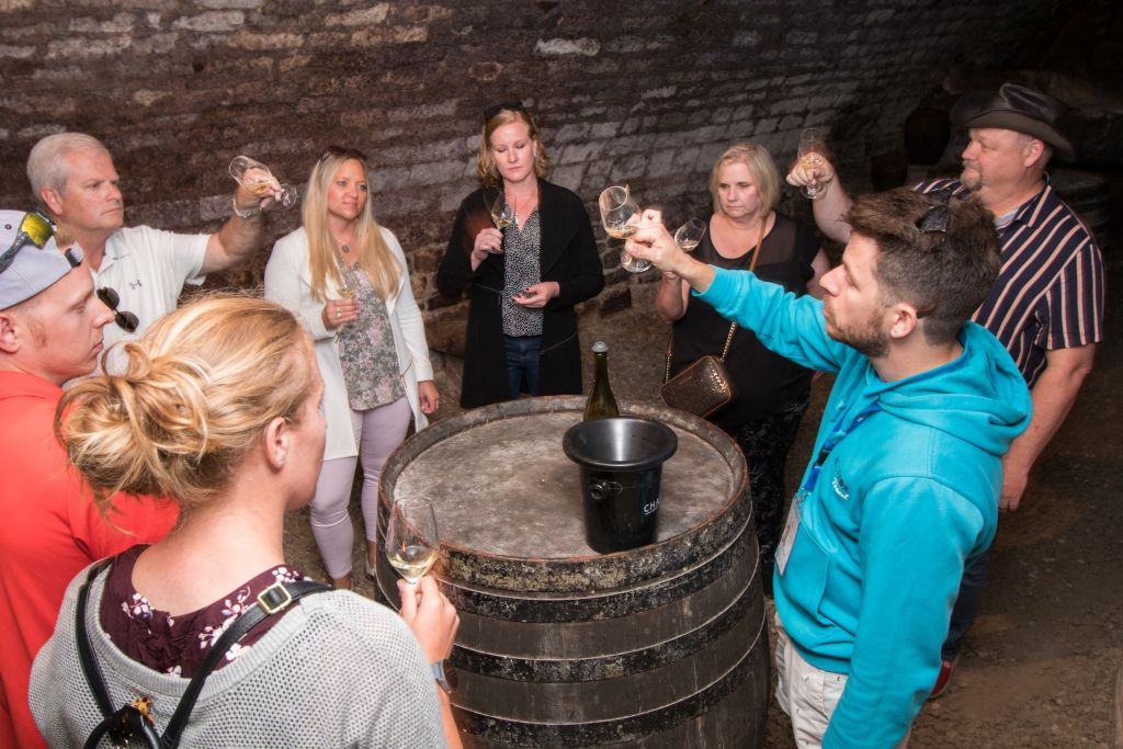 Burgundy: Wine Day Trip from Paris