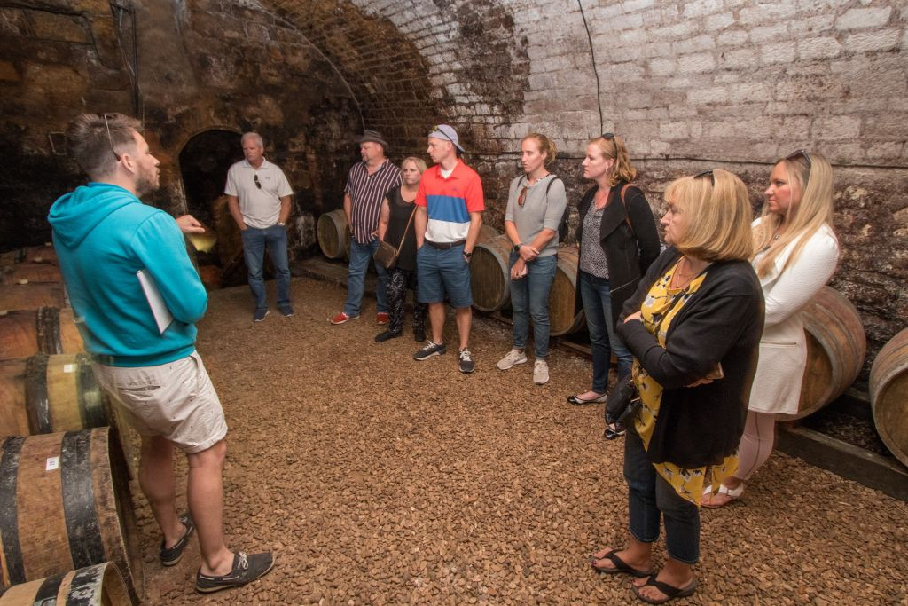Burgundy: Wine Day Trip from Paris