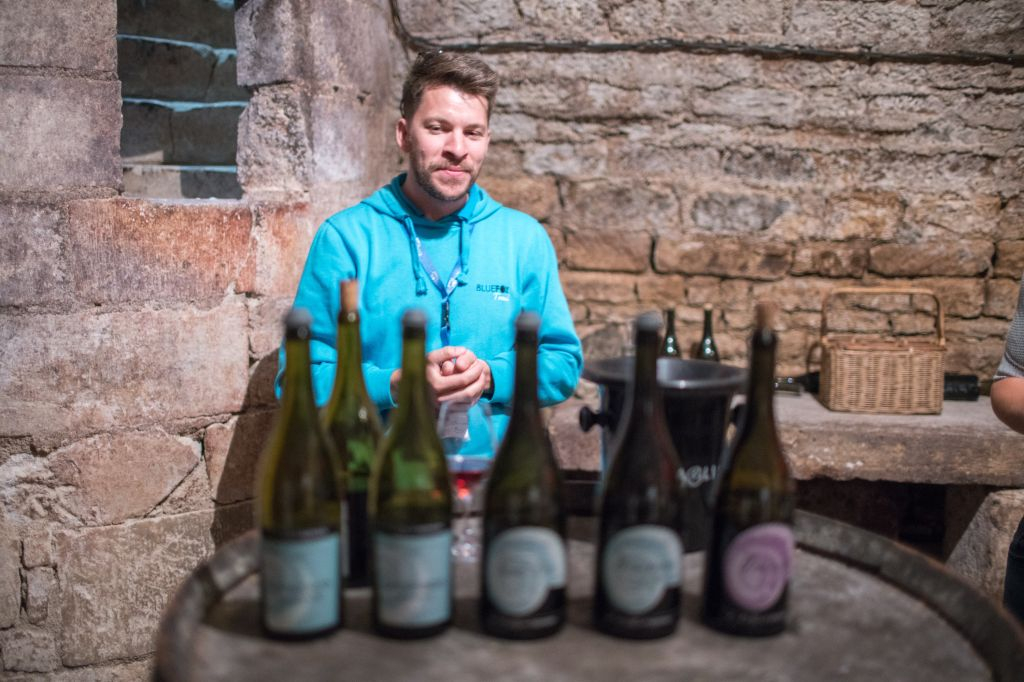 Burgundy: Wine Day Trip from Paris