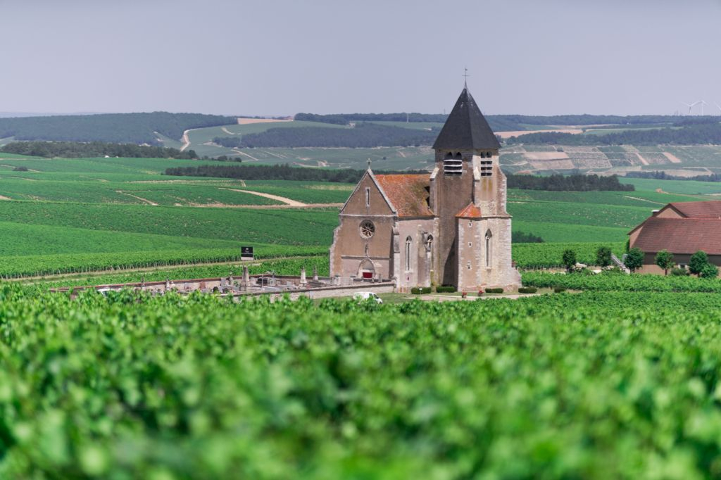 Burgundy: Wine Day Trip from Paris