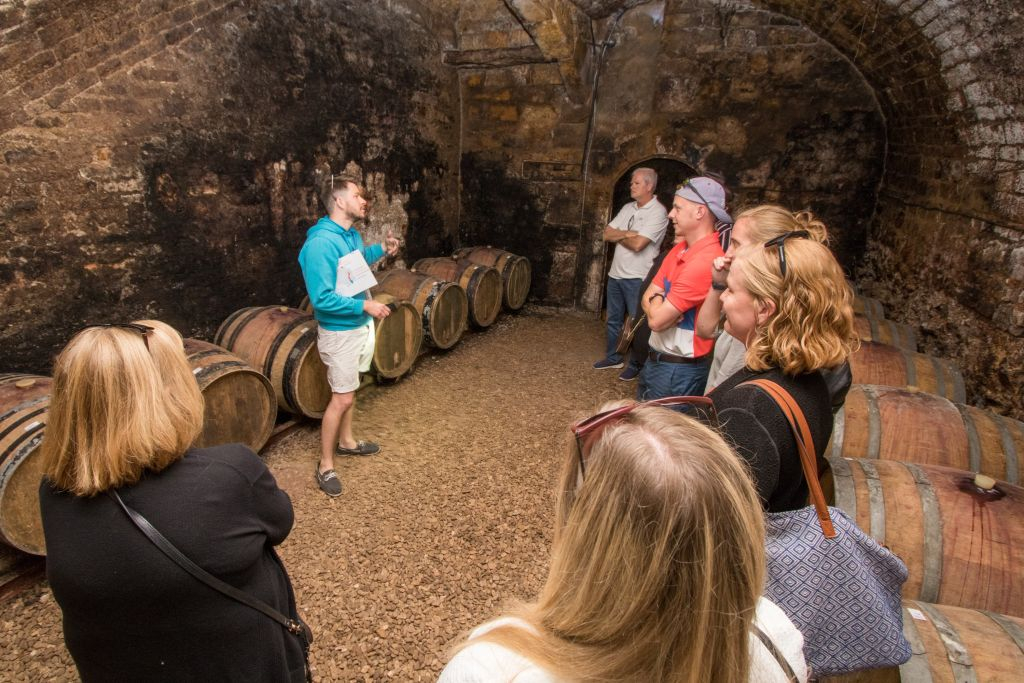 Burgundy: Wine Day Trip from Paris