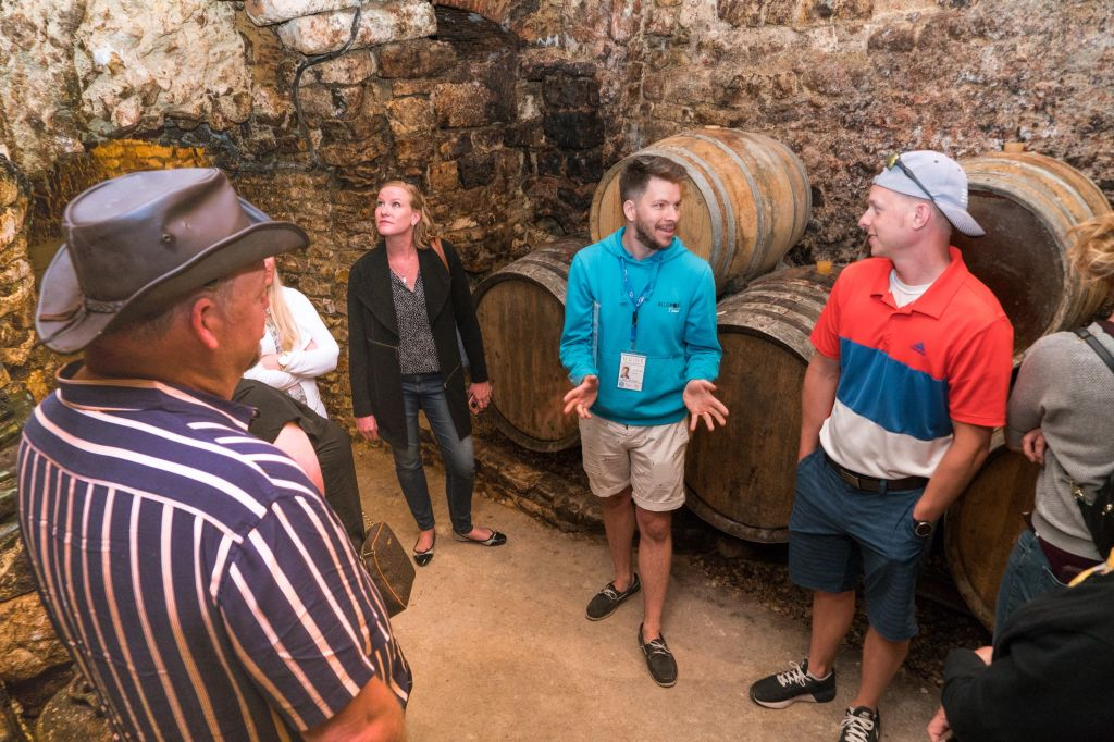 Burgundy: Wine Day Trip from Paris