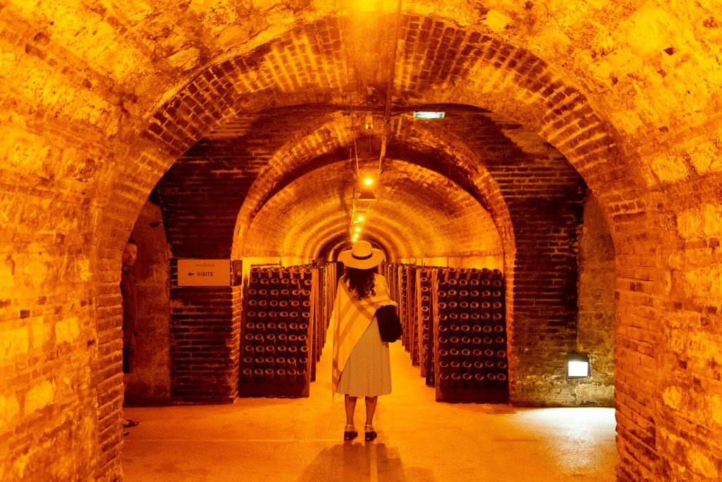 Reims: Degustazione di champagne con pranzo in giornata da Parigi