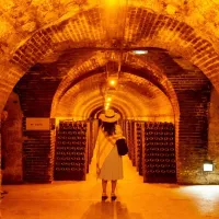 Champagne Day Trip with Tastings + Lunch from Paris