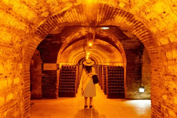 Reims : Dégustation de champagne avec déjeuner - Excursion d'une journée au départ de Paris