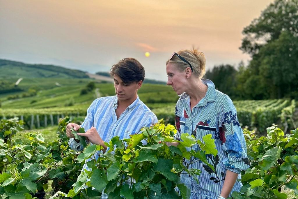 Champagne Day Trip with Tastings + Lunch from Paris