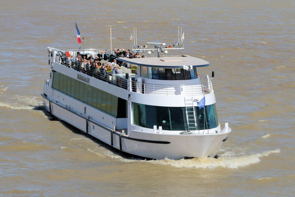 Bordeaux: Guided Cruise on the Garonne + 1h at the dock