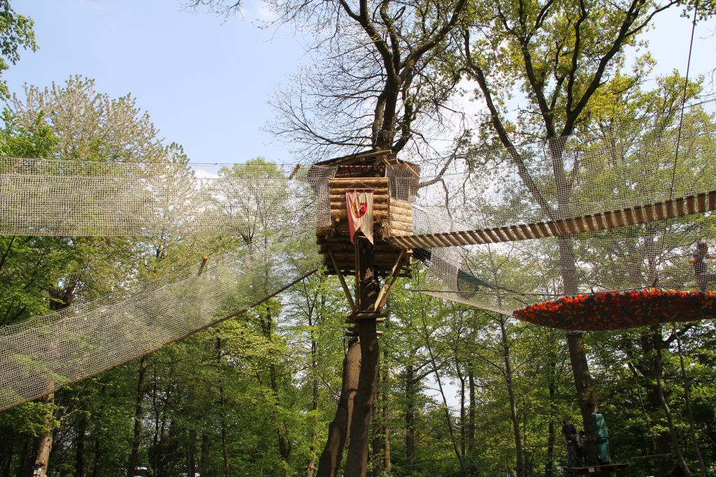 Sherwood Parc: Entry Ticket