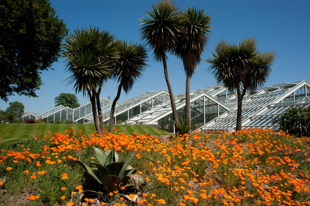 Jardins botaniques royaux de Kew: Billet d'entrée