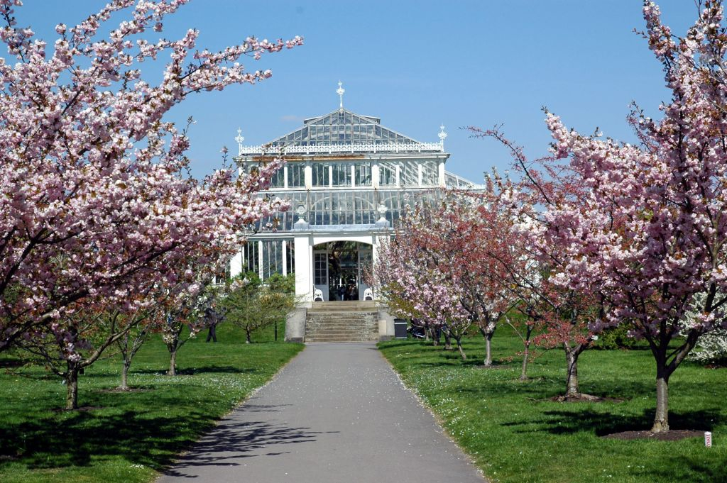 Jardins botaniques royaux de Kew: Billet d'entrée