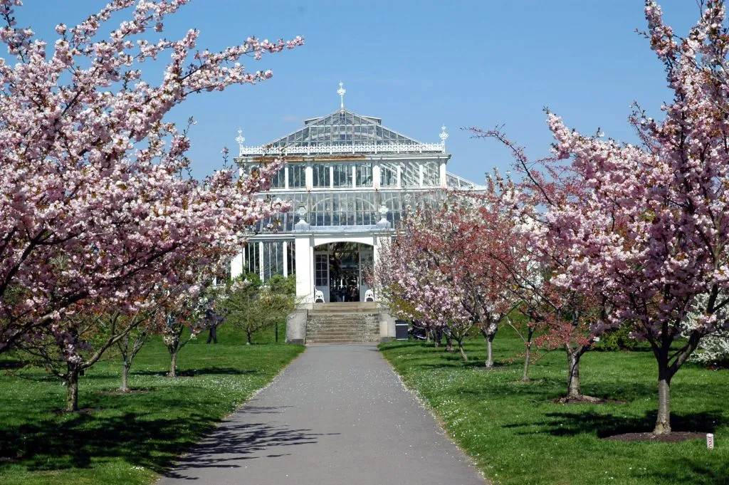 Kew Gardens: Entry Ticket
