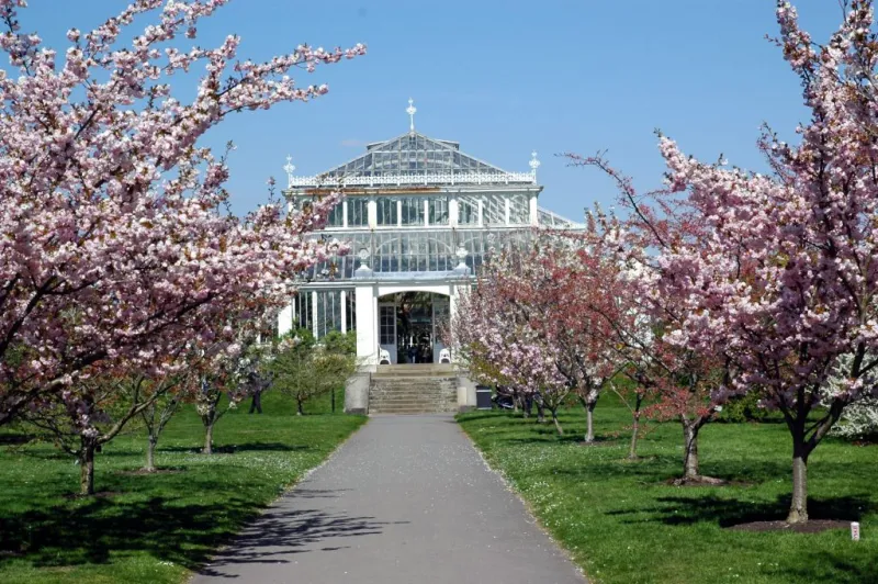 Kew Gardens: Entry Ticket