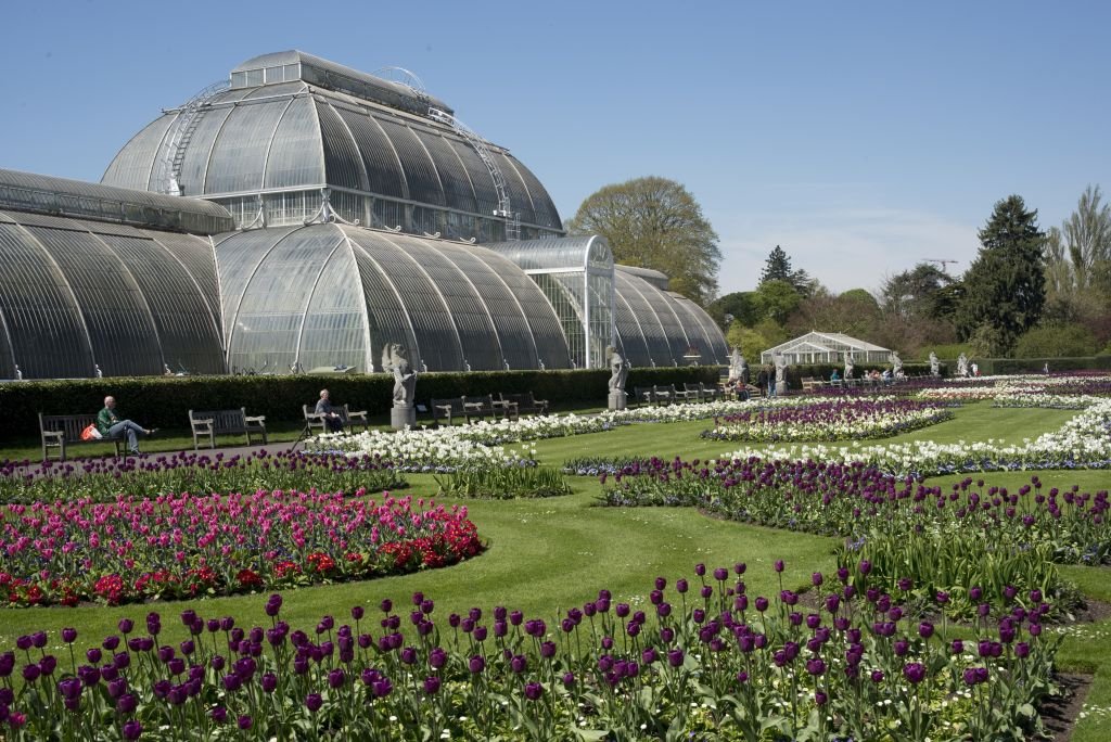 Jardins botaniques royaux de Kew: Billet d'entrée
