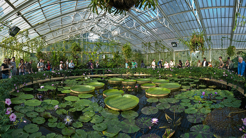 Jardins botaniques royaux de Kew: Billet d'entrée