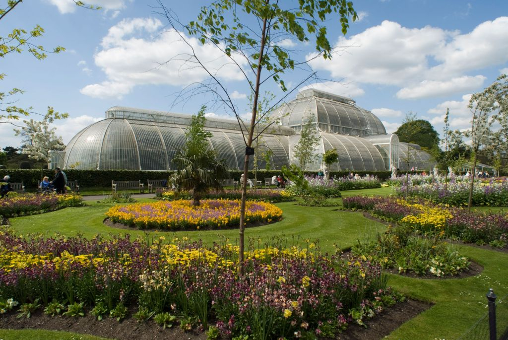 Jardins botaniques royaux de Kew: Billet d'entrée
