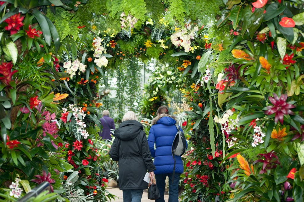 Kew Gardens: Entry Ticket