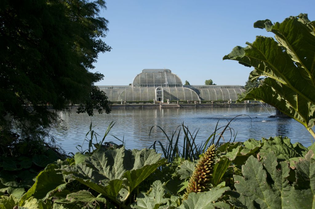 Jardins botaniques royaux de Kew: Billet d'entrée