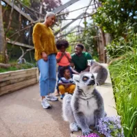 London Zoo: Entry Ticket