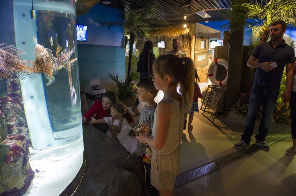 Exploris Aquarium: Entry Ticket