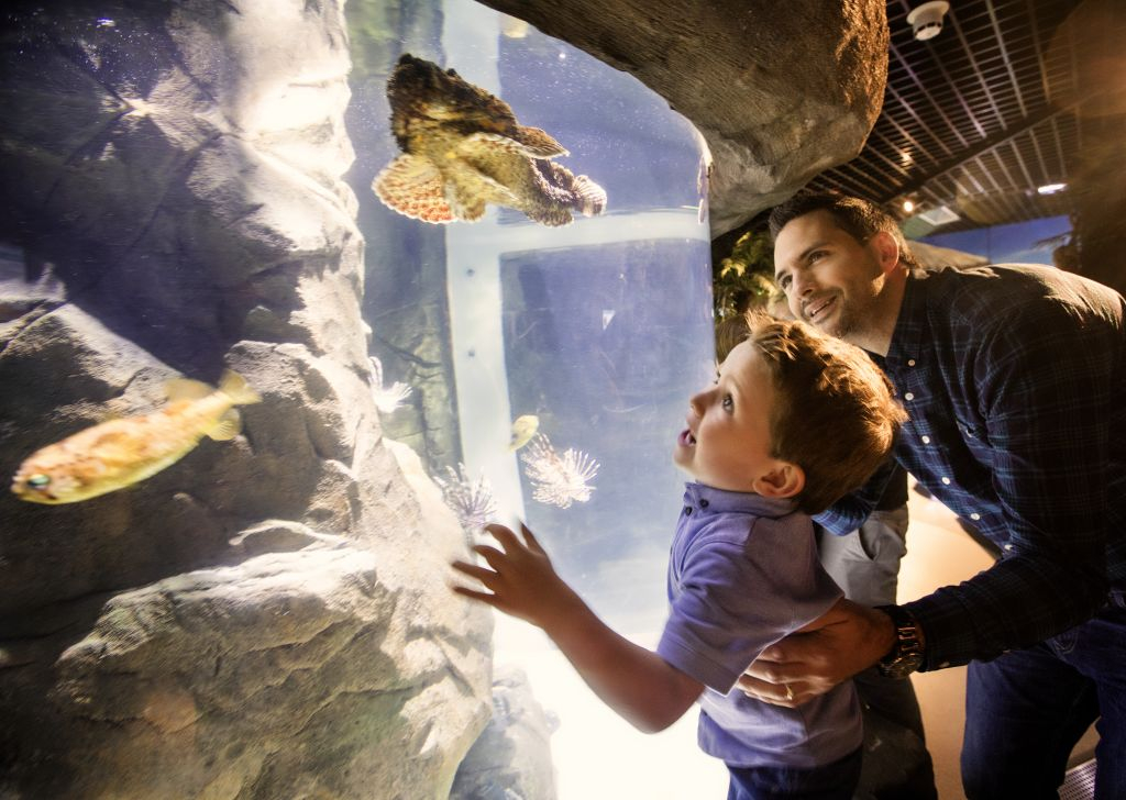 Exploris Aquarium: Entry Ticket