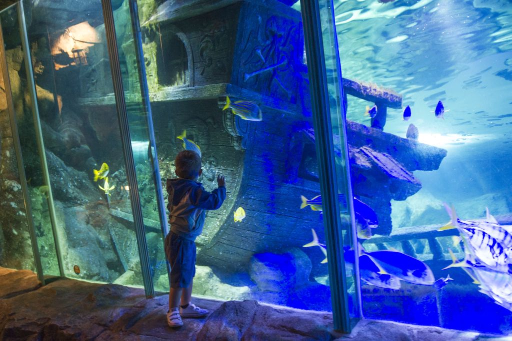Exploris Aquarium: Entry Ticket