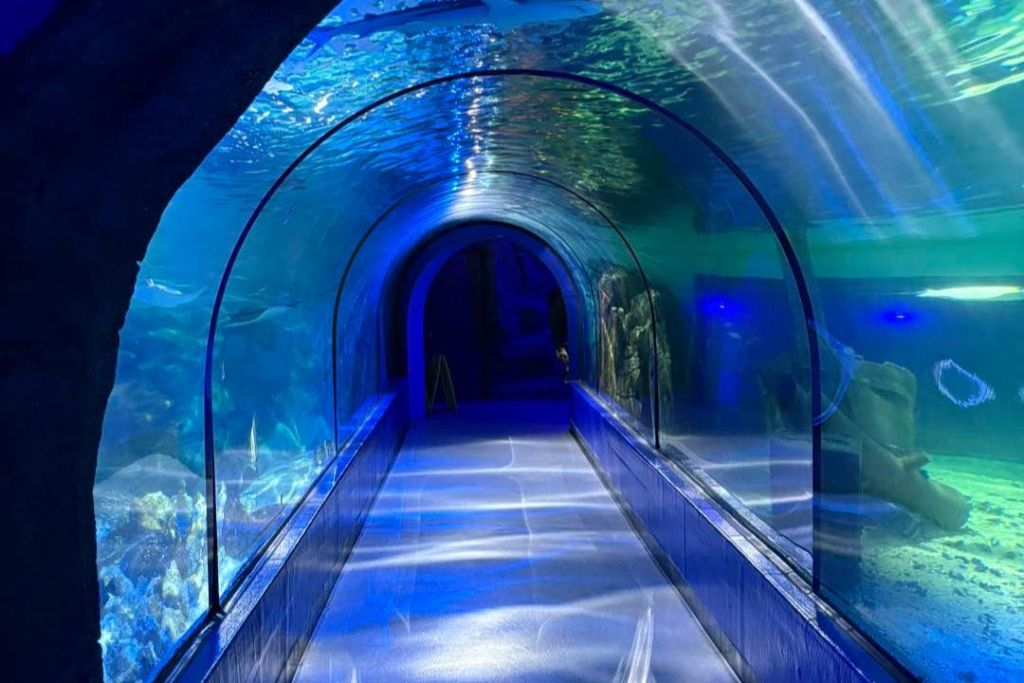 Exploris Aquarium: Entry Ticket