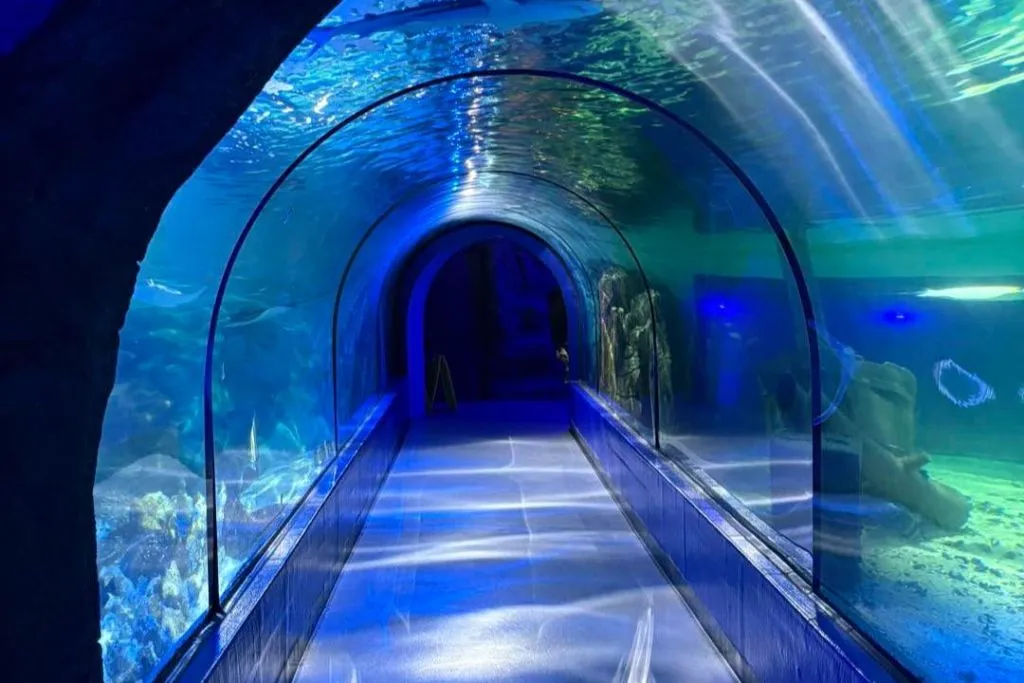 Exploris Aquarium: Entry Ticket