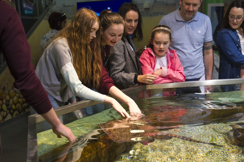 Exploris Aquarium: Entry Ticket