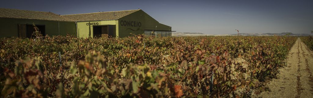 Concejo Wine Cellar