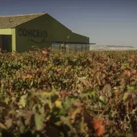Concejo Wine Cellar