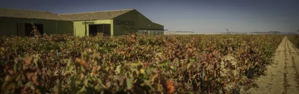 Concejo Bodegas