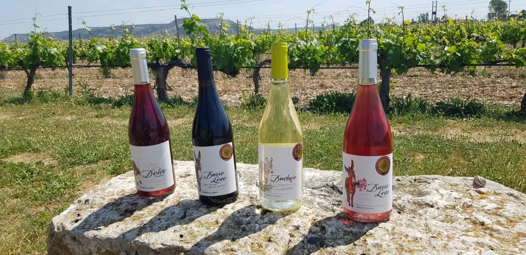 Concejo Bodegas