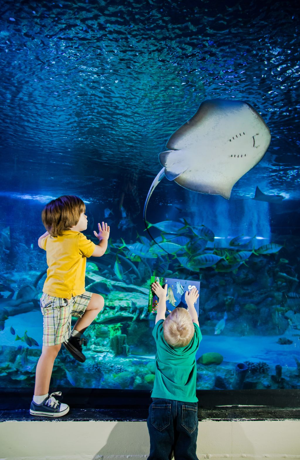 SEA LIFE London: Entry Ticket